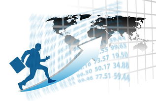 开云竞猜官网-中国篮球职业联赛赛事运营风险控制策略研究，篮球赛事运营方案